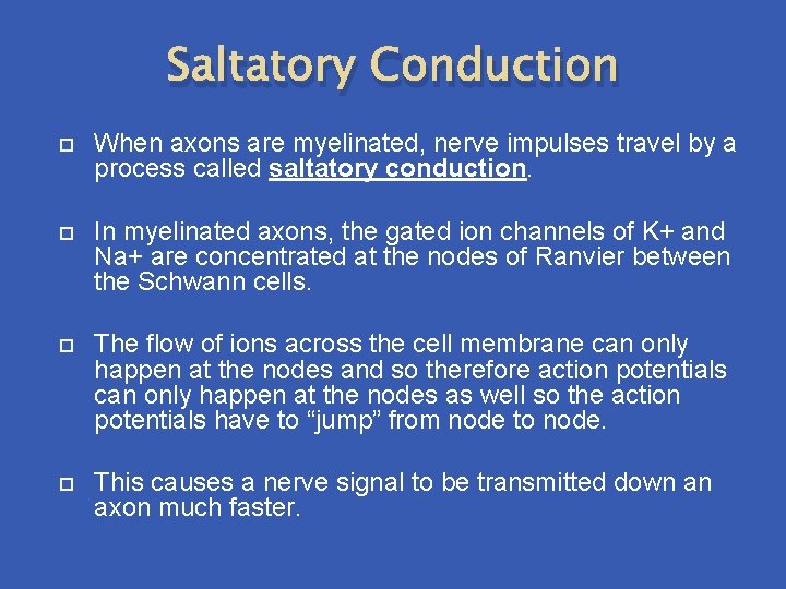 Saltatory Conduction When axons are myelinated, nerve impulses travel by a process called saltatory Saltatory Conduction When axons are myelinated, nerve impulses travel by a process called saltatory