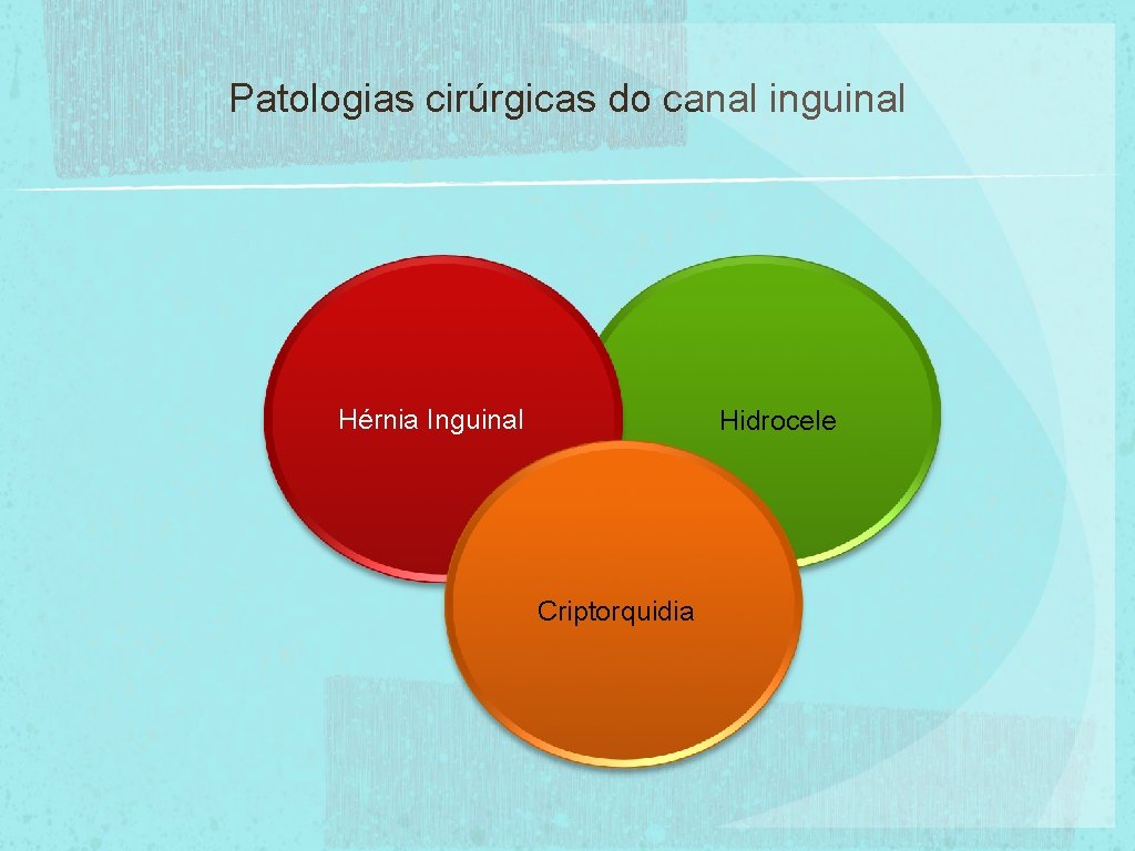 Patologias cirúrgicas do canal inguinal Hérnia Inguinal Hidrocele Criptorquidia 