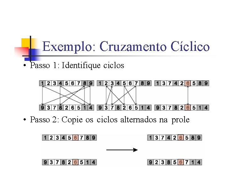 Exemplo: Cruzamento Cíclico • Passo 1: Identifique ciclos • Passo 2: Copie os ciclos