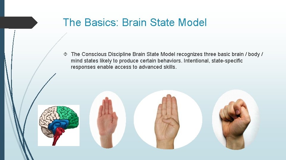 The Basics: Brain State Model The Conscious Discipline Brain State Model recognizes three basic