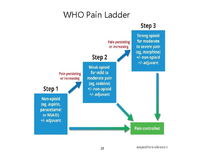 WHO Pain Ladder 27 WHO Pain Ladder 27
