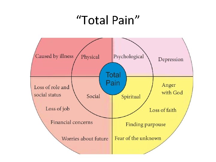 “Total Pain” “Total Pain”