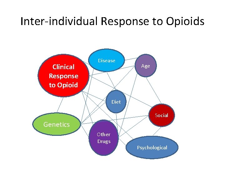 Inter-individual Response to Opioids Clinical Response to Opioid Disease Age Diet Social Genetics Other Inter-individual Response to Opioids Clinical Response to Opioid Disease Age Diet Social Genetics Other