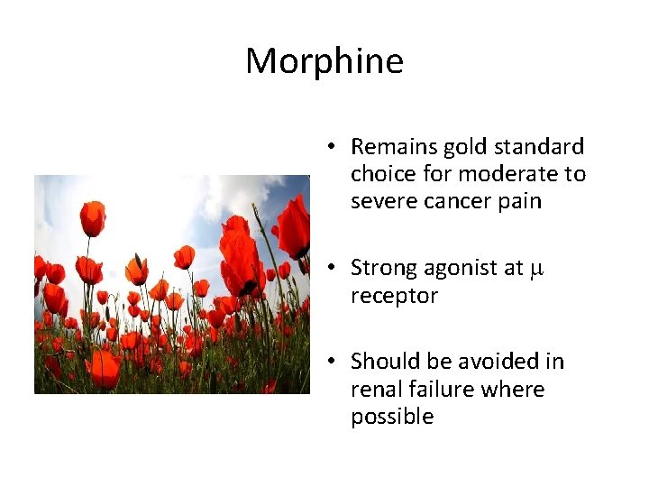 Morphine • Remains gold standard choice for moderate to severe cancer pain • Strong Morphine • Remains gold standard choice for moderate to severe cancer pain • Strong