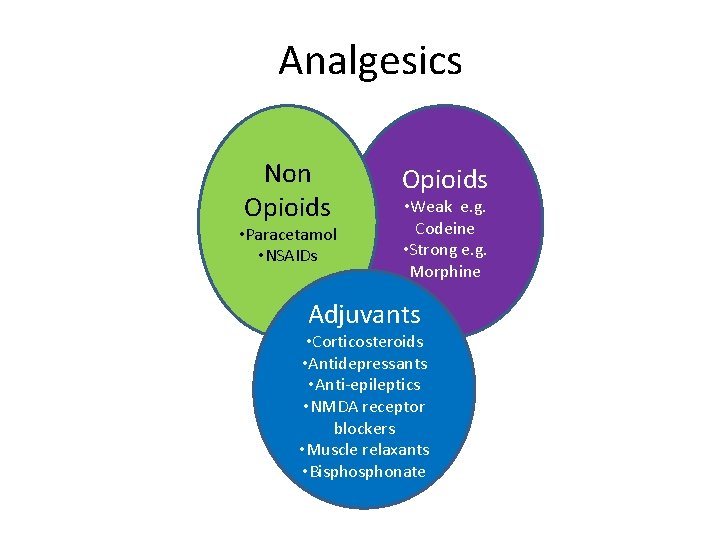 Analgesics Non Opioids • Paracetamol • NSAIDs Opioids • Weak e. g. Codeine • Analgesics Non Opioids • Paracetamol • NSAIDs Opioids • Weak e. g. Codeine •