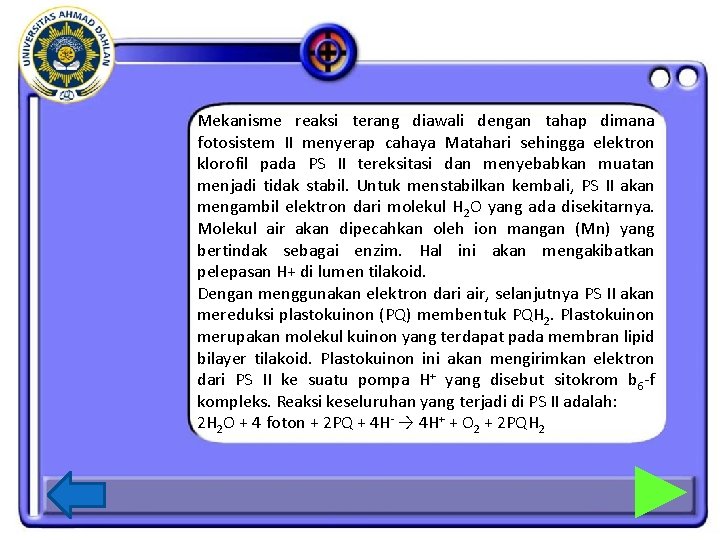 Mekanisme reaksi terang diawali dengan tahap dimana fotosistem II menyerap cahaya Matahari sehingga elektron Mekanisme reaksi terang diawali dengan tahap dimana fotosistem II menyerap cahaya Matahari sehingga elektron