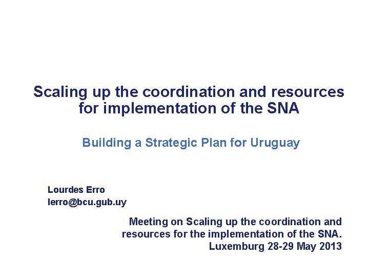 Scaling up the coordination and resources for implementation of the SNA Building a Strategic