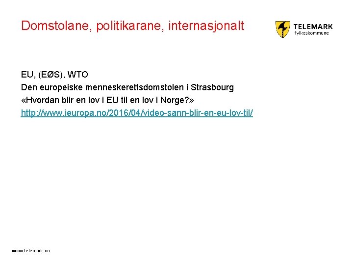 Domstolane, politikarane, internasjonalt EU, (EØS), WTO Den europeiske menneskerettsdomstolen i Strasbourg «Hvordan blir en