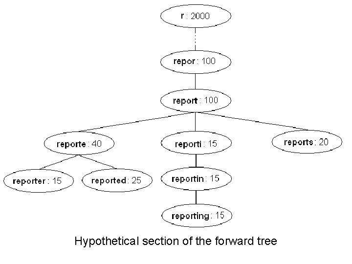 Hypothetical section of the forward tree Hypothetical section of the forward tree