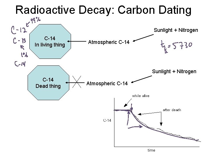 Radioactive Decay: Carbon Dating Sunlight + Nitrogen C-14 In living thing Atmospheric C-14 Sunlight