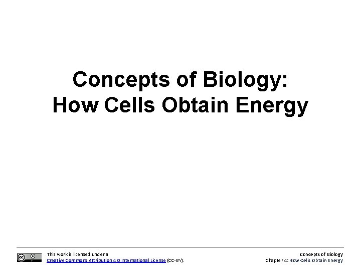 Concepts of Biology: How Cells Obtain Energy This work is licensed under a Creative