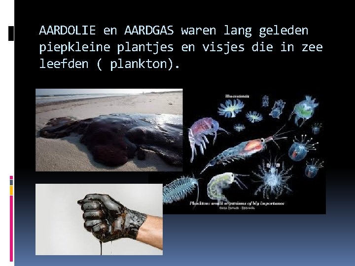 AARDOLIE en AARDGAS waren lang geleden piepkleine plantjes en visjes die in zee leefden