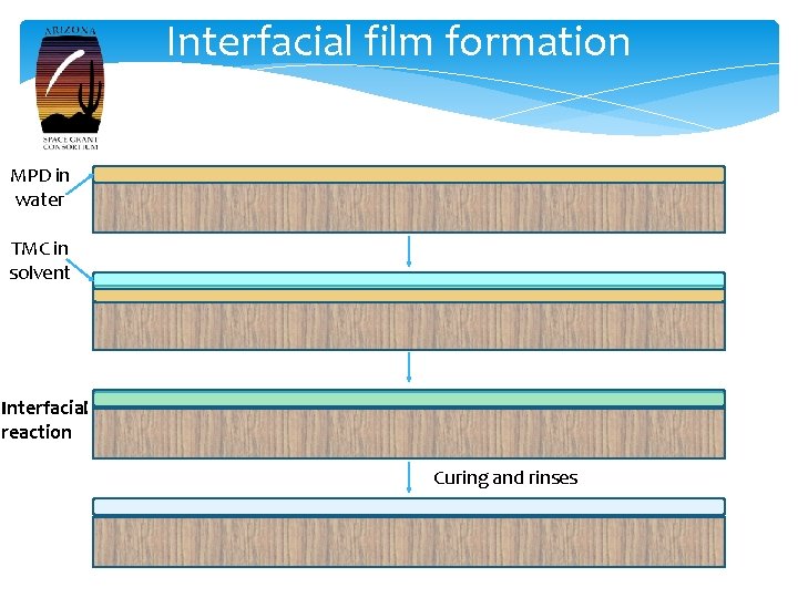 Interfacial film formation MPD in water TMC in solvent Interfacial reaction Curing and rinses