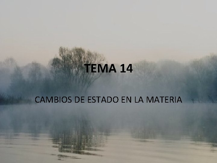 TEMA 14 CAMBIOS DE ESTADO EN LA MATERIA 