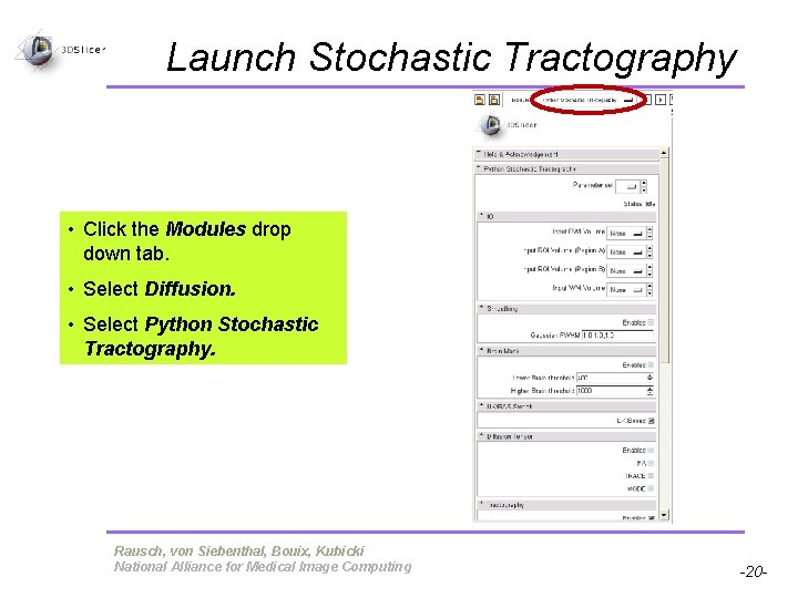 Launch Stochastic Tractography • Click the Modules drop down tab. • Select Diffusion. • Launch Stochastic Tractography • Click the Modules drop down tab. • Select Diffusion. •
