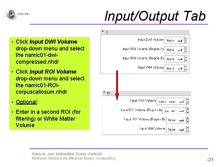 Input/Output Tab • Click Input DWI Volume drop-down menu and select the namic 01 Input/Output Tab • Click Input DWI Volume drop-down menu and select the namic 01