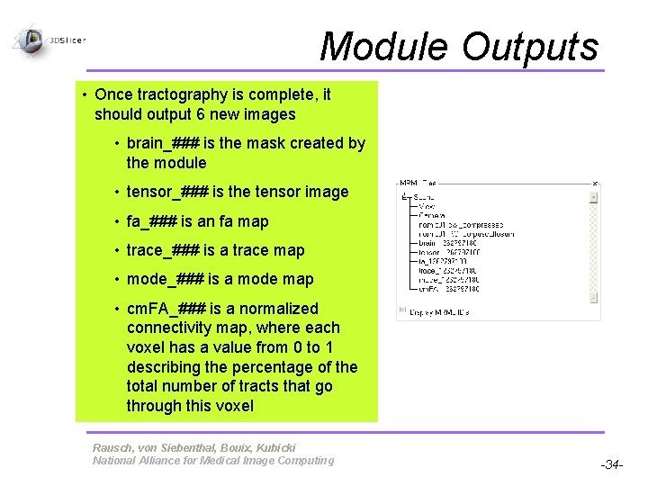 Module Outputs • Once tractography is complete, it should output 6 new images • Module Outputs • Once tractography is complete, it should output 6 new images •