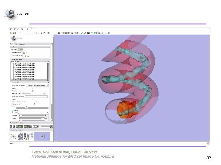 Pujol S, Gollub R Terry, von Siebenthal, Bouix, Kubicki National Alliance for Medical Image Pujol S, Gollub R Terry, von Siebenthal, Bouix, Kubicki National Alliance for Medical Image