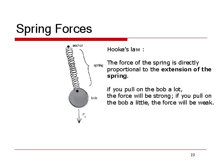 Spring Forces Hooke’s law : The force of the spring is directly proportional to