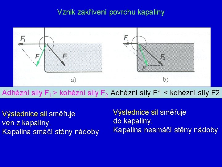 Vznik zakřivení povrchu kapaliny Adhézní síly F 1 > kohézní síly F 2 Adhézní