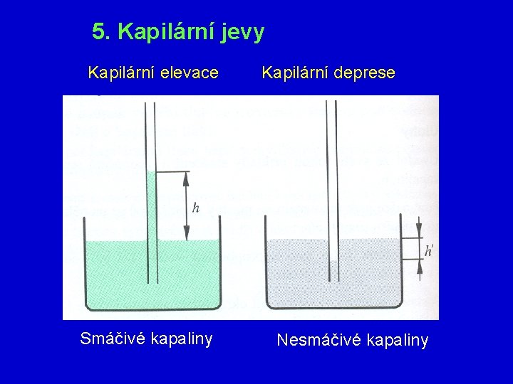 5. Kapilární jevy Kapilární elevace Smáčivé kapaliny Kapilární deprese Nesmáčivé kapaliny 