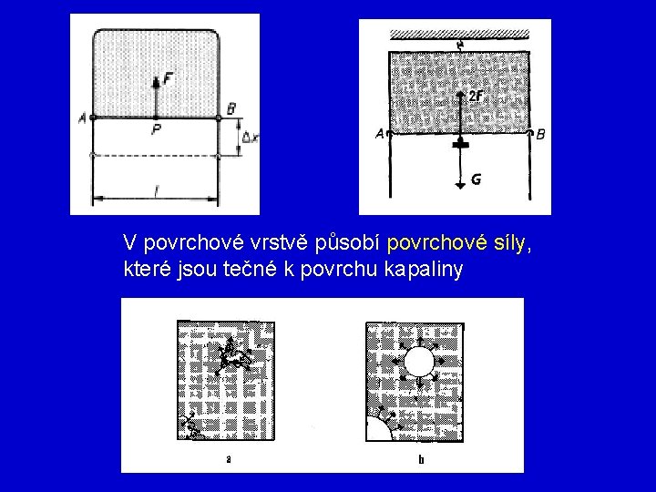 V povrchové vrstvě působí povrchové síly, které jsou tečné k povrchu kapaliny 