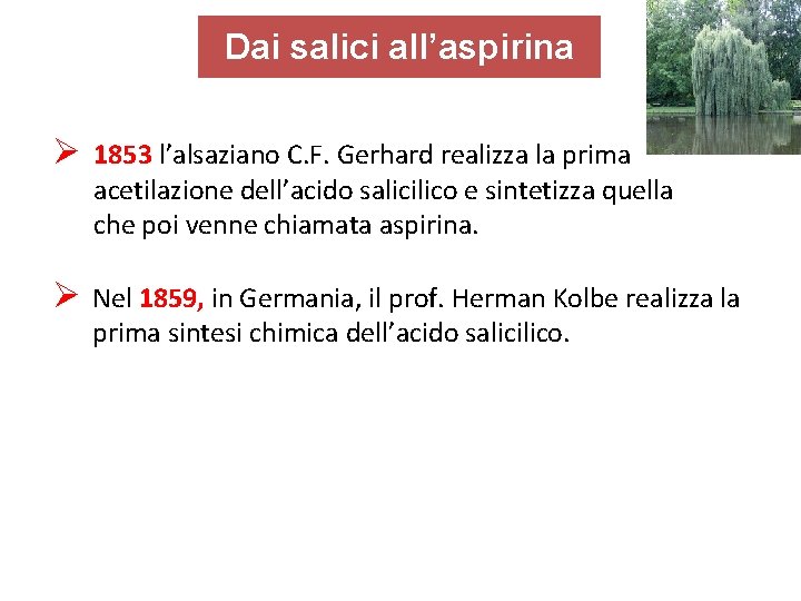 Dai salici all’aspirina Ø 1853 l’alsaziano C. F. Gerhard realizza la prima acetilazione dell’acido