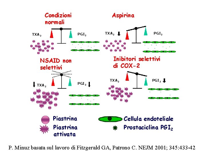Condizioni normali Aspirina PGI 2 TXA 2 PGI 2 Inibitori selettivi di COX-2 NSAID