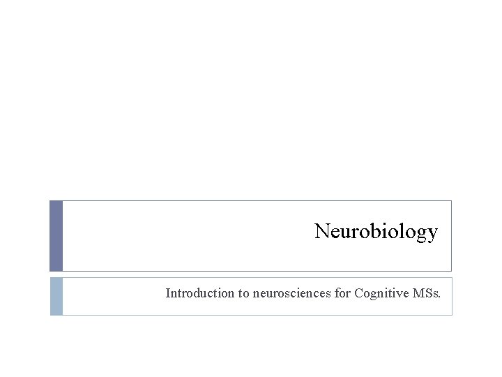 Neurobiology Introduction to neurosciences for Cognitive MSs. 