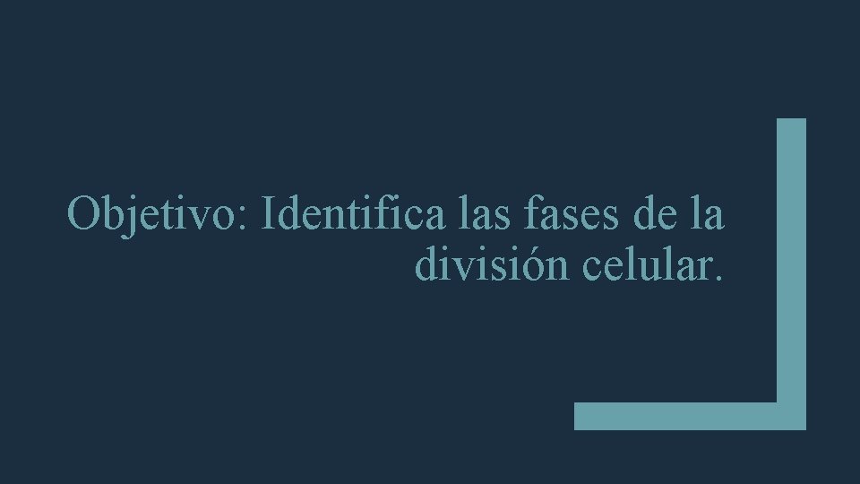 Objetivo: Identifica las fases de la división celular. 