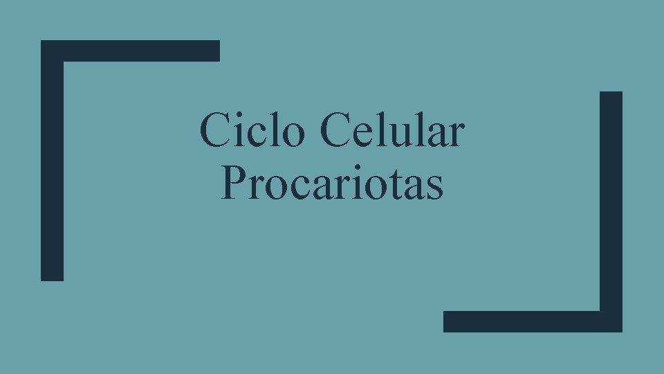 Ciclo Celular Procariotas 