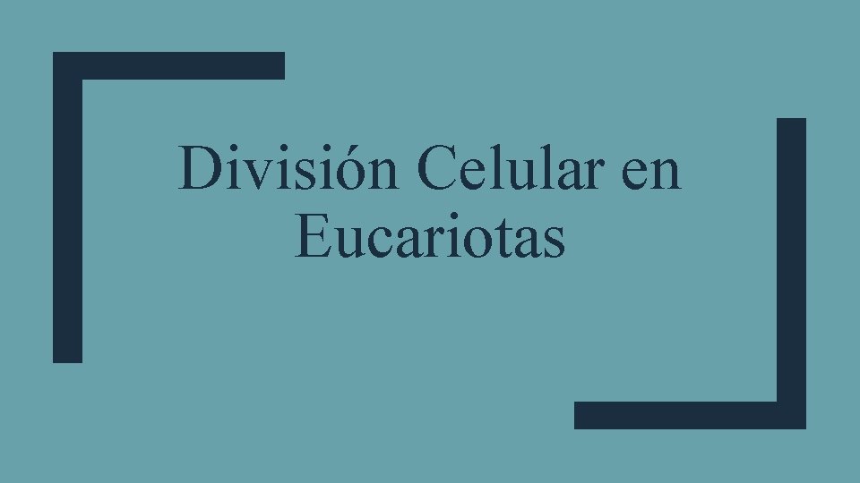 División Celular en Eucariotas 