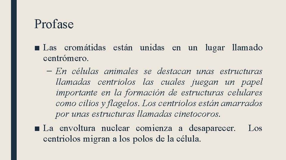 Profase ■ Las cromátidas están unidas en un lugar llamado centrómero. – En células