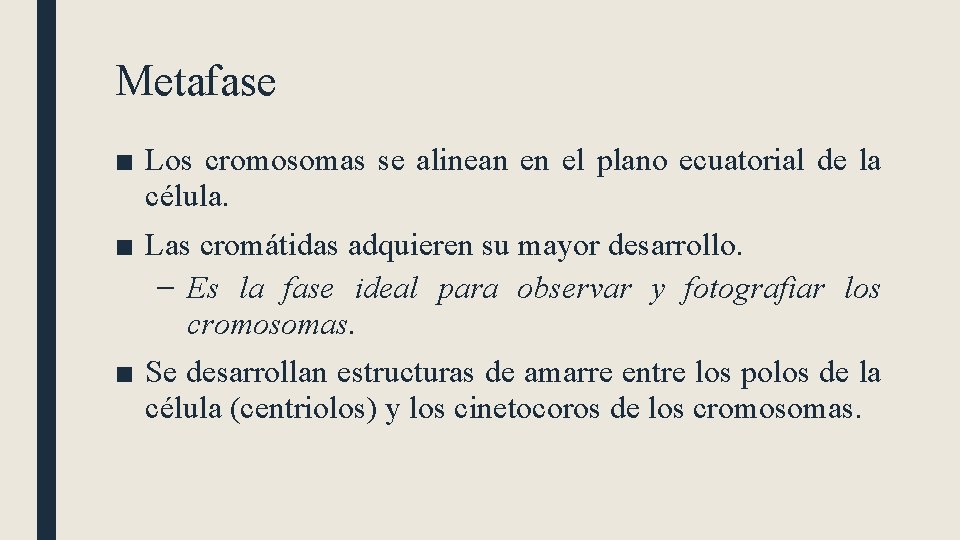 Metafase ■ Los cromosomas se alinean en el plano ecuatorial de la célula. ■