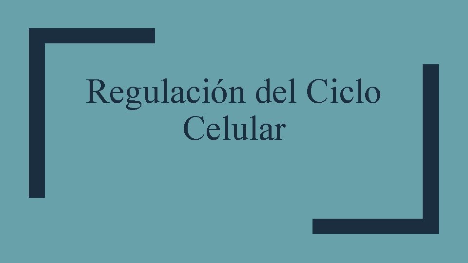 Regulación del Ciclo Celular 