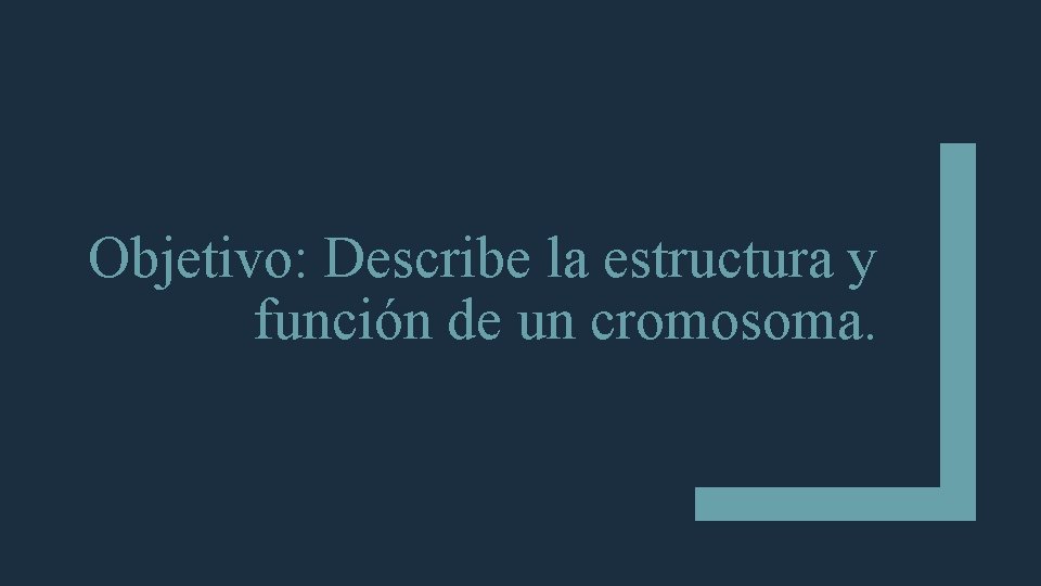 Objetivo: Describe la estructura y función de un cromosoma. 