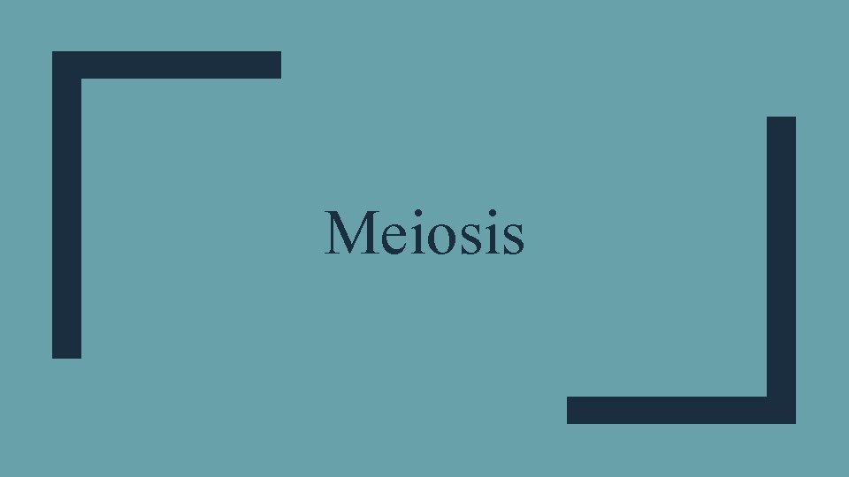 Meiosis Meiosis