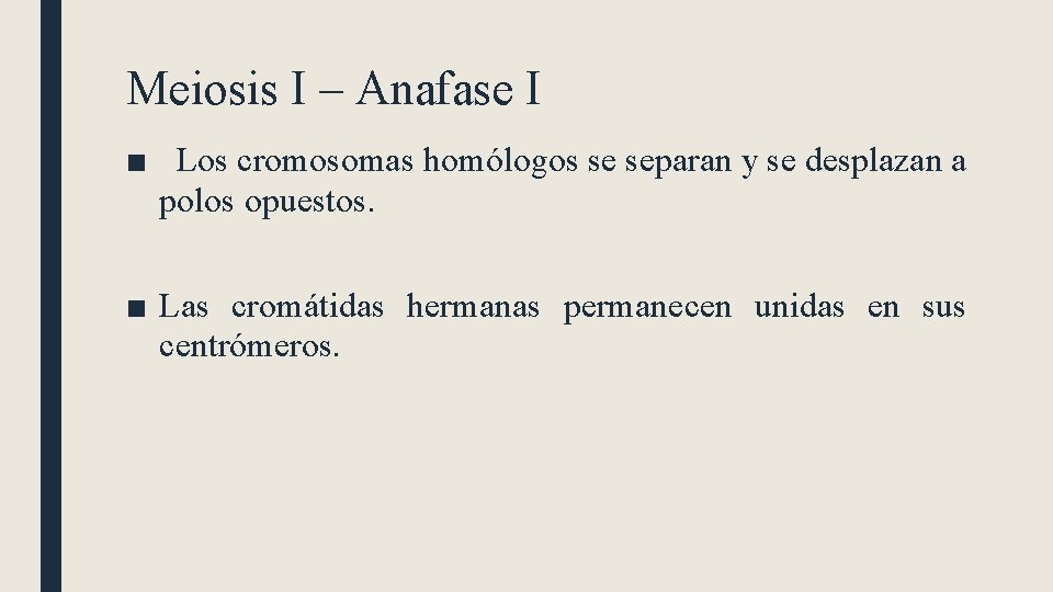 Meiosis I – Anafase I ■ Los cromosomas homólogos se separan y se desplazan