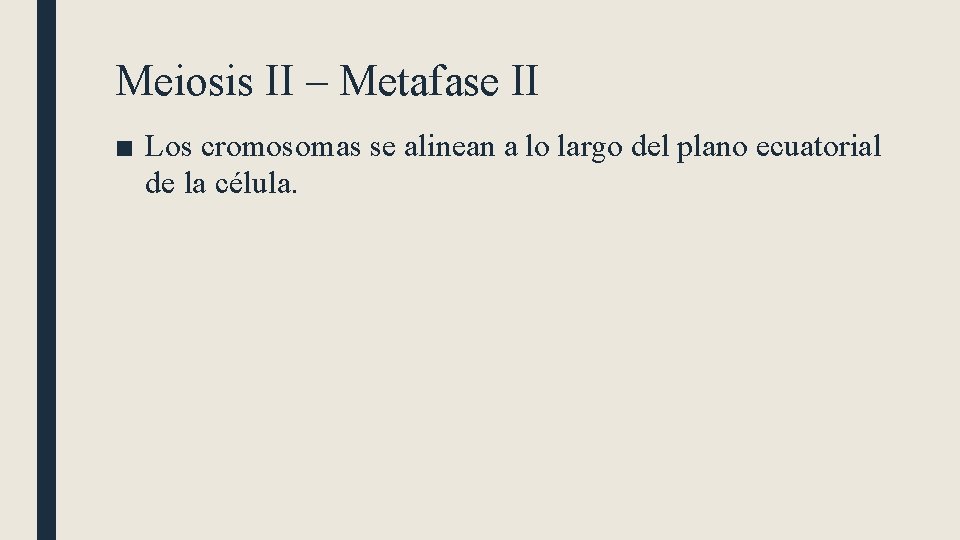 Meiosis II – Metafase II ■ Los cromosomas se alinean a lo largo del