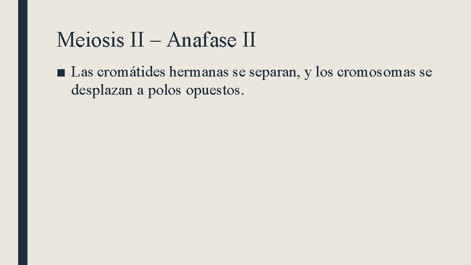 Meiosis II – Anafase II ■ Las cromátides hermanas se separan, y los cromosomas