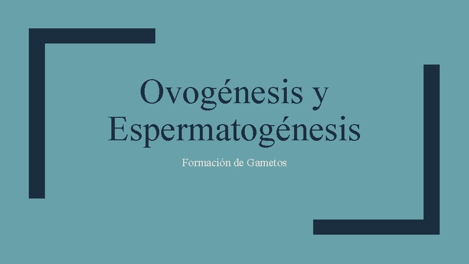 Ovogénesis y Espermatogénesis Formación de Gametos 