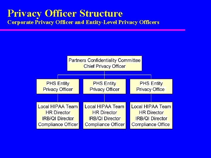 Privacy Officer Structure Corporate Privacy Officer and Entity-Level Privacy Officers 