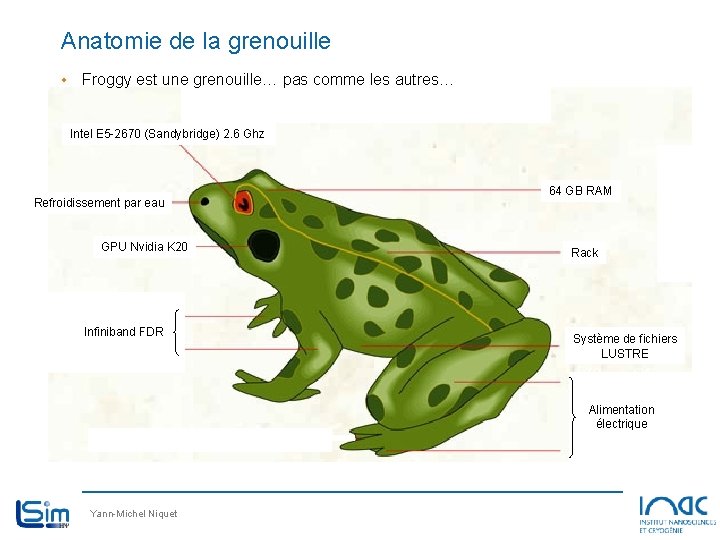 Anatomie de la grenouille • Froggy est une grenouille… pas comme les autres… Intel Anatomie de la grenouille • Froggy est une grenouille… pas comme les autres… Intel