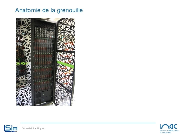 Anatomie de la grenouille Yann-Michel Niquet Anatomie de la grenouille Yann-Michel Niquet