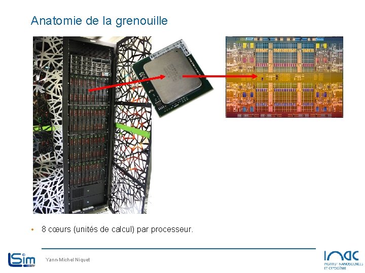 Anatomie de la grenouille • 8 cœurs (unités de calcul) par processeur. Yann-Michel Niquet Anatomie de la grenouille • 8 cœurs (unités de calcul) par processeur. Yann-Michel Niquet