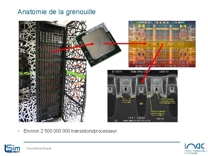 Anatomie de la grenouille • Environ 2 500 000 transistors/processeur. Yann-Michel Niquet Anatomie de la grenouille • Environ 2 500 000 transistors/processeur. Yann-Michel Niquet