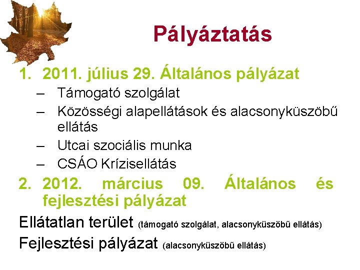 Pályáztatás 1. 2011. július 29. Általános pályázat – Támogató szolgálat – Közösségi alapellátások és