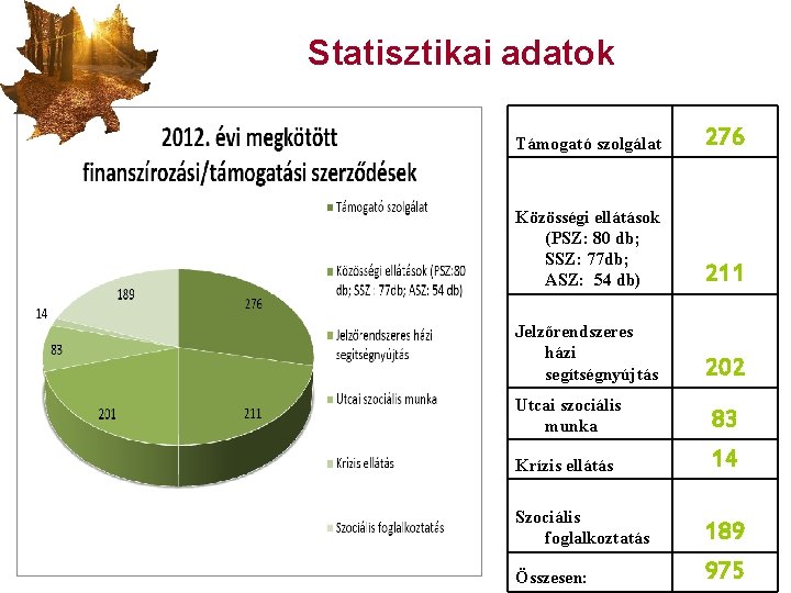 Statisztikai adatok Támogató szolgálat 276 Közösségi ellátások (PSZ: 80 db; SSZ: 77 db; ASZ: