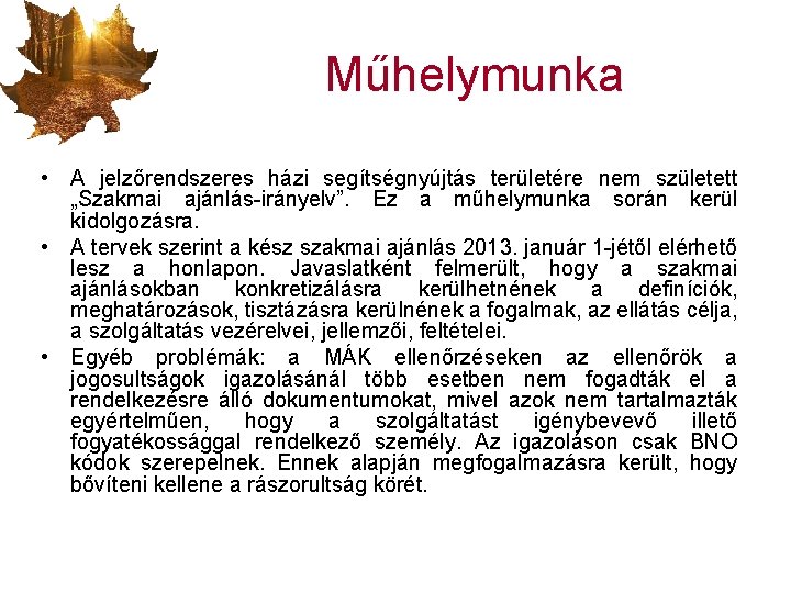 Műhelymunka • A jelzőrendszeres házi segítségnyújtás területére nem született „Szakmai ajánlás-irányelv”. Ez a műhelymunka