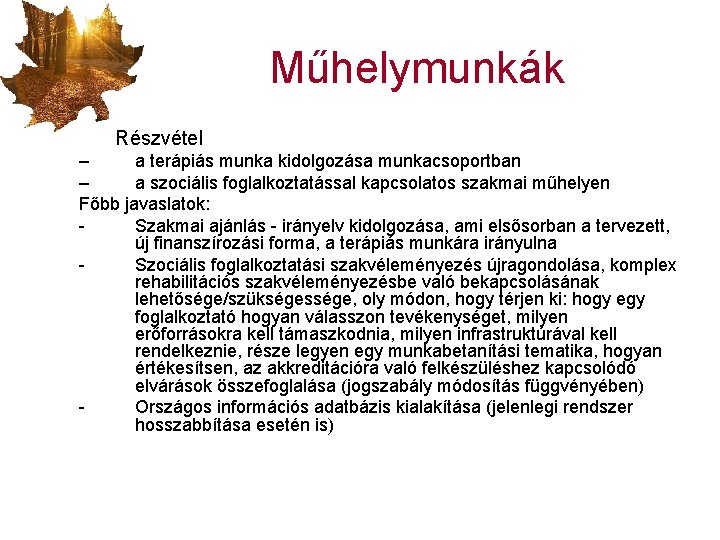 Műhelymunkák Részvétel – a terápiás munka kidolgozása munkacsoportban – a szociális foglalkoztatással kapcsolatos szakmai